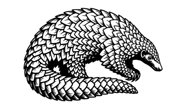 Intricate pangolin silhouette vector illustration detailed scale pattern isolated on white background