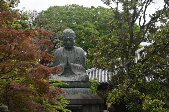 Big Buddha in Kamakura, Japan