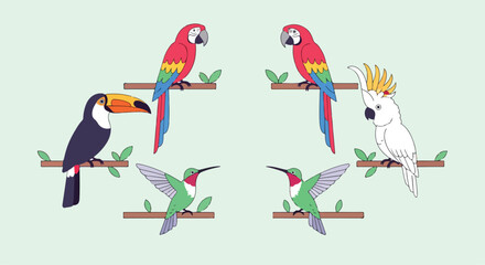 Colorful illustration of various birds on branches © Boy