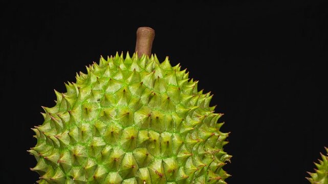Zoom technique detailing the upper half of a Vietnamese Ri6 durian on a professional black studio background.
