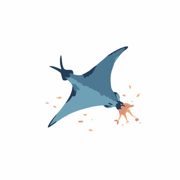 Manta ray gliding remora fish attached