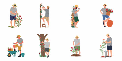 Fototapeta premium Set of flat illustrations showing men of different ages gardening, pruning roses, and caring for plants in their yard.
