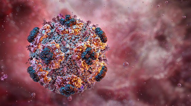 Hantavirus particle. Andes RNA virus structure with glycoprotein membrane spikes, microscopic pathogen transmitted by rodents. Hemorrhagic fever, pulmonary syndrome, zoonotic infectious disease