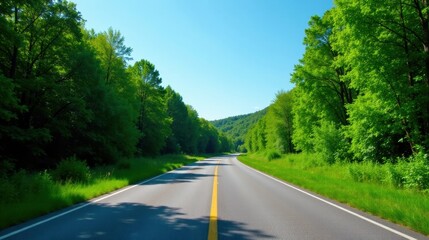 Fototapeta premium Scenic asphalt road curving through a lush green forest under a bright summer sky, offering a tranquil and peaceful journey through nature's beauty.