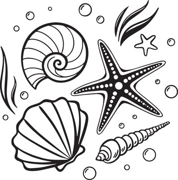 Hand-drawn vector illustration featuring seashells, starfish, bubbles, and sea plants in detailed outline style. Great for ocean-themed artwork and beach-inspired projects.