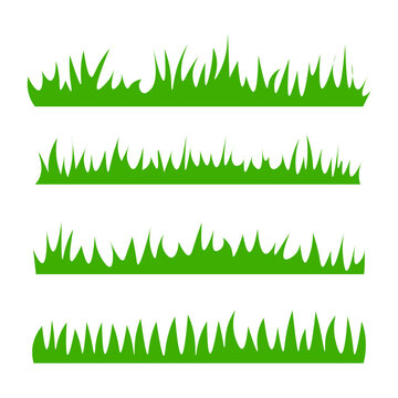 Green grass, isolated vector illustration.