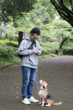 ビーグルを飼う男性、犬と散歩する笑顔ポートレート、動物との暮らしのライフスタイル　躾や訓練のイメージ　おやつを使ってアイコンタクトの訓練