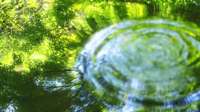 水面に反射した緑の波紋　静かな森の中の水面の波紋　2.5倍スロー