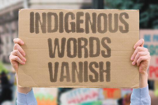 "Indigenous Words Vanish" Native language vocabulary disappears permanently when community transmission to younger generations breaks. NATIVE. VOCABULARY. TRANSMISSION. YOUNGER. BREAKS.
