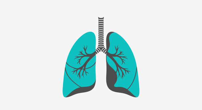 Abstract Medical Illustration: Stylized Lungs in Energetic Turquoise Color Scheme Presentation