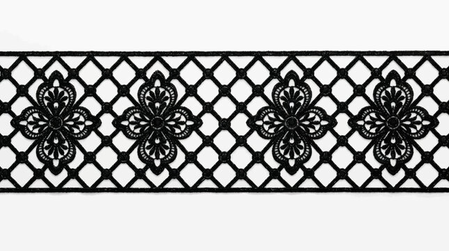 Black lace ribbon trim photographed on a white background in 2024