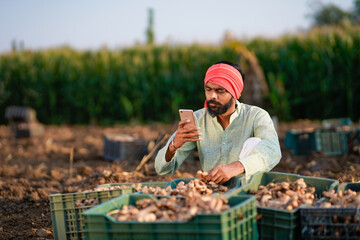 young indian farmer using smartphone standing at turmeric field © PRASANNAPIX