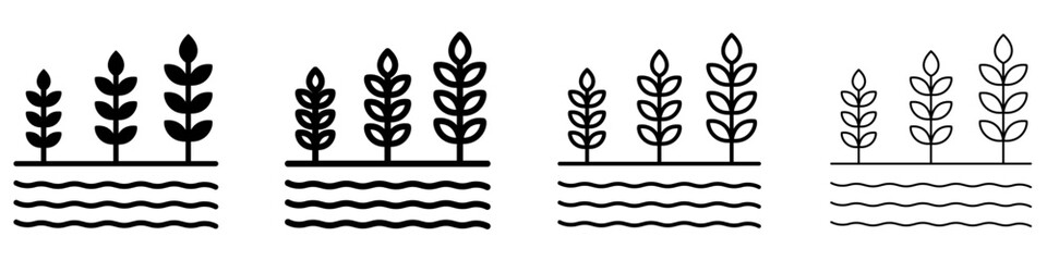 Fototapeta premium A set of wheat ears or cereal crops line icons over wavy lines representing a field or water, featured in four different stroke weights. Vector symbols for agriculture, harvest, farming, or organic pr