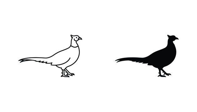 Elegant pheasant bird profile icon set for wildlife conservation and nature branding featuring detailed outline and solid black silhouette vector graphics for hunting or ornithology projects