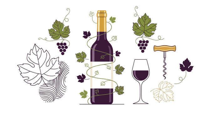 Set of wine bottle glass and grapes with corkscrew illustration. EPS Editable. Vector Illustrations.