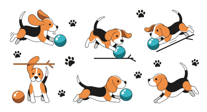 Playful beagle puppies are shown in various active poses like running, jumping, and playing with a blue ball.