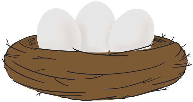 Hand drawn minimal bird nest with eggs illustration symbolizing protection, family, birth, and peaceful natural life.