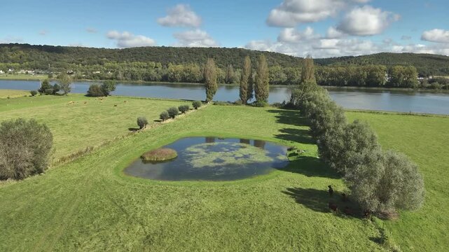 Aerial view of a hunting pond in Normandy wetland
