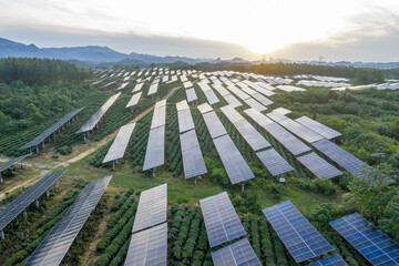 Agrivoltaics System with Solar Panels on Agricultural Land in Rural China © zhangyang135769
