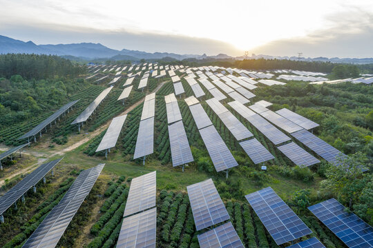 Agrivoltaics System with Solar Panels on Agricultural Land in Rural China