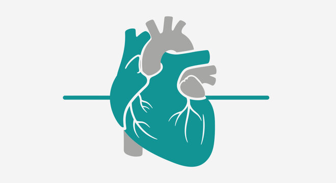 Anatomical Heart Illustration With Teal Color and Line Representing a Medical Concept
