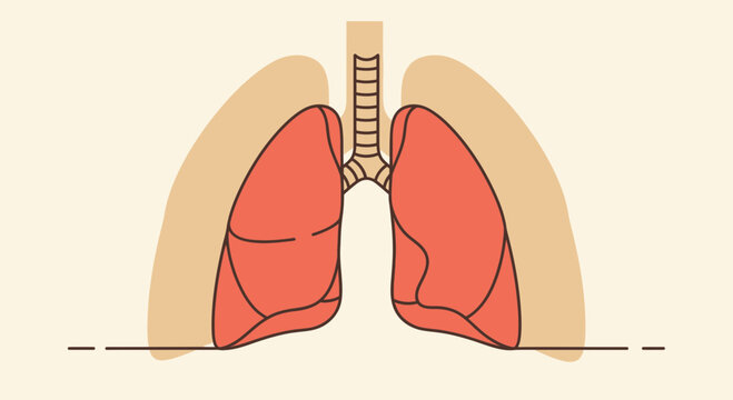 Anatomical Illustration Of Human Lungs Conceptualized In Vibrant Modern Artistic Render