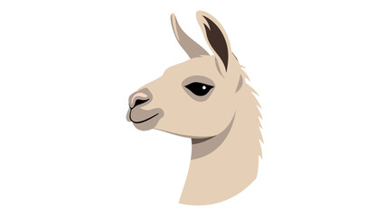Fototapeta premium Cute Llama Portrait Illustration on White Background