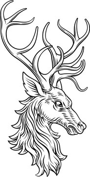 A heraldry coat of arms crest style heraldic male deer or stag hart in a vintage woodcut style