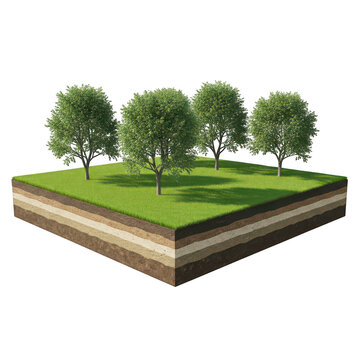 Cross section of earth soil layers with green trees on black background