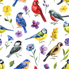 colorful songbird seamless pattern with watercolor robins tits cardinals wildflowers and leaves for spring fabric decor © Hanna