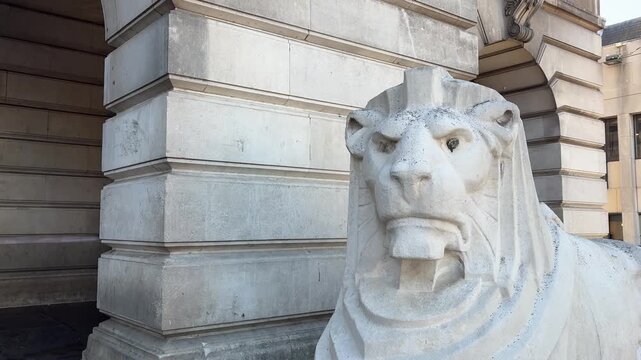 Close-up of a stone lion statue outside Nottingham Council House in Old Market Square, Nottingham city centre, England. An iconic landmark and symbol of the city.