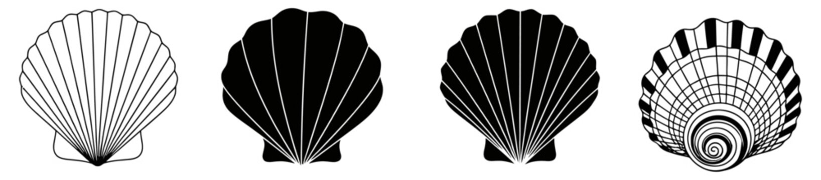 Collection of scallop shell silhouettes and patterns