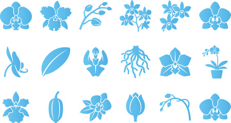 Orchid flower and leaf icons representing beauty nature and botanical elements. © FahimBD