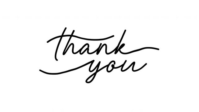 Animated thank you calligraphy handwriting reveal on white background. Elegant cursive script. Perfect for gratitude, wedding, and social media videos