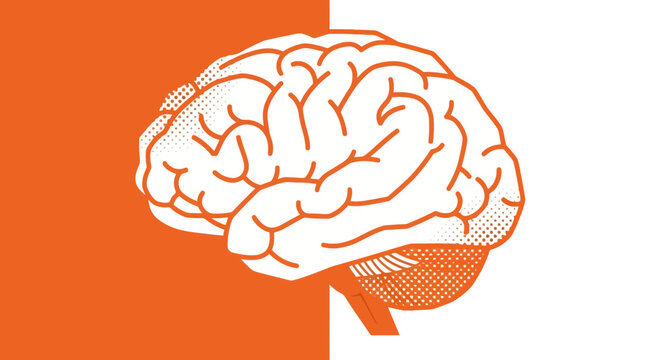 Conceptual Illustration of a Human Brain with Dual Toned Colors and Minimalist Style
