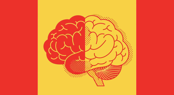Conceptual Illustration Of Human Brain Divided With Red And Yellow Color Scheme