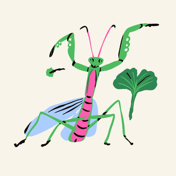 Praying Mantis. Green, pink insect, bug, leaf. Cute little character. Hand drawn trendy Vector illustration. Isolated design element. Sticker, logo, icon, print template