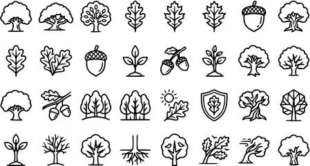 Nature and Ecology Oak Tree Icons Set. Black  White Outline Line Art of Trees, Leaves, Acorns, Seedlings, and Forests, perfect for Environment  Forestry. © pixsource