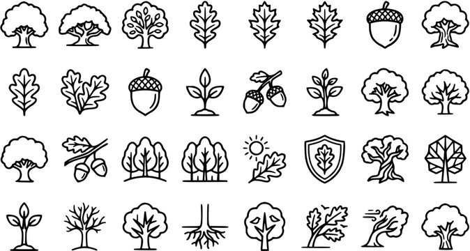 Nature and Ecology Oak Tree Icons Set. Black  White Outline Line Art of Trees, Leaves, Acorns, Seedlings, and Forests, perfect for Environment  Forestry.