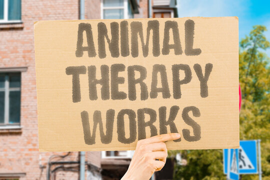 "Animal Therapy Works" Peer-reviewed clinical evidence supports animal-assisted therapy as a legitimate mental health intervention. PEERREVIEWED. CLINICAL. EVIDENCE. LEGITIMATE. INTERVENTION.