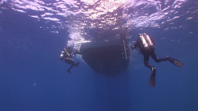 t the end of dive scuba divers coming back up to the surface to get on the boat underwater
