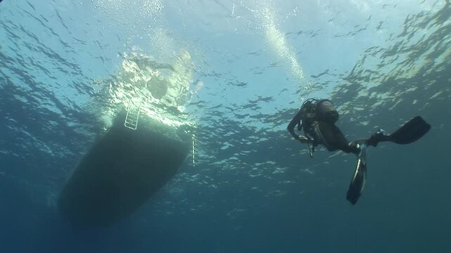 t the end of dive scuba divers coming back up to the surface to get on the boat underwater