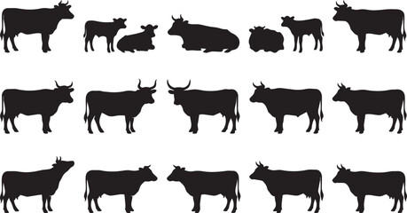 Cow silhouettes collection, calf silhouettes, standing cows, sitting cows, farm animal icons, livestock design, cattle shadow art, nature illustration © MOSTSHAHANAJ