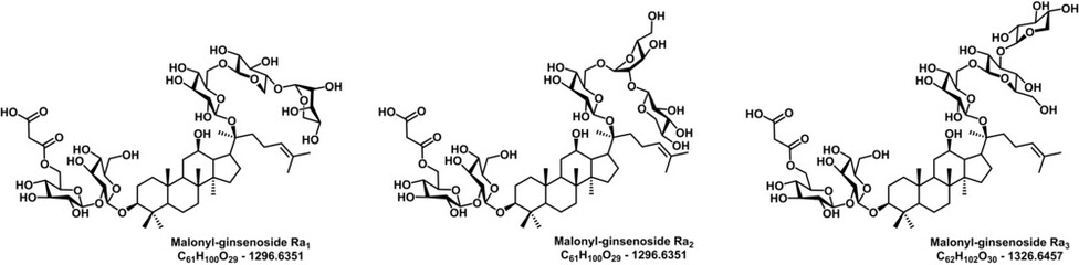 Obraz premium These are the oragnic structures of saponin compounds isolated from korea ginseng (panax ginseng).
