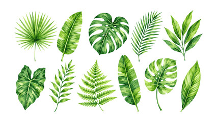 Collection of Various Tropical Green Leaves Watercolor Illustration. © Hato