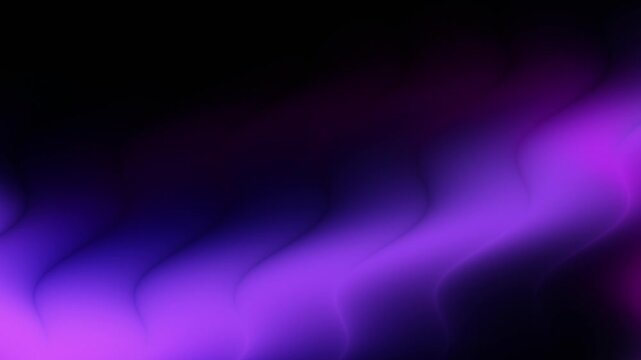 Abstract Purple and Blue Light Waves Flowing on Black Background