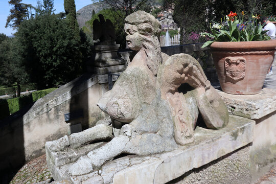 Statua di sfinge ornamentale in pietra con ali e lineamenti femminili presso i giardini storici di Villa d'Este a Tivoli, scultura rinascimentale del XVI secolo attribuita a Pirro Ligorio, Italia.