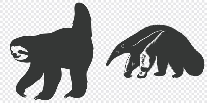 Minimalist flat vector design featuring two stylized black monkey silhouettes walking and jumping, ideal for graphic projects and illustrations.