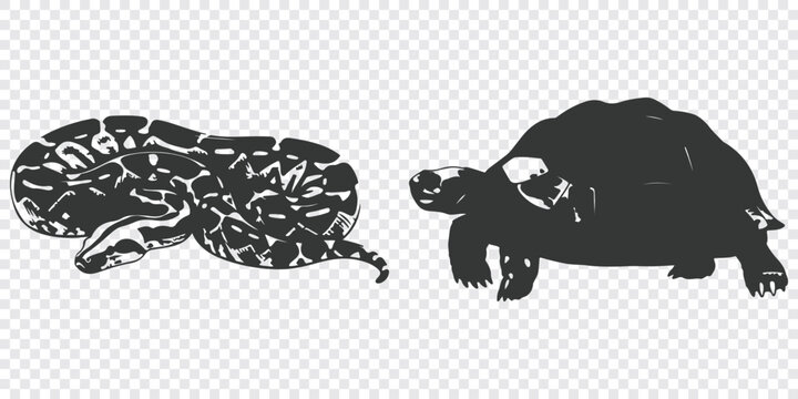 A minimalistic flat vector illustration featuring a detailed snake and tortoise side by side in a clean, monochromatic design.