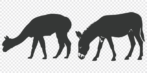 Fototapeta premium Minimalist flat vector design featuring two grazing animals, likely a camel and a horse, depicted in black silhouette against a plain background.